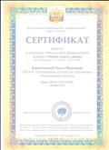 Сертификат от Всероссийского информационно-образовательного портала "Магистр" декабрь 2018г.
