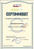 Сертификат "Вебинар и онлайн конференция"
