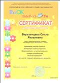 Сертификат, подтверждающий участие в работе экспертного совета открытого Всероссийского интеллектуального турнира способностей "РостОК- IntellectУм" 2016г.